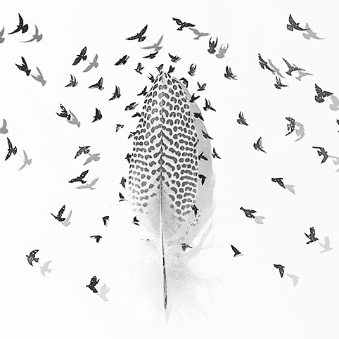 ГАСТРОНОМИЧЕСКИЙ УЖИН «ДИЧЬ. Vol 1. ПЕРНАТЫЕ» 21/04/17