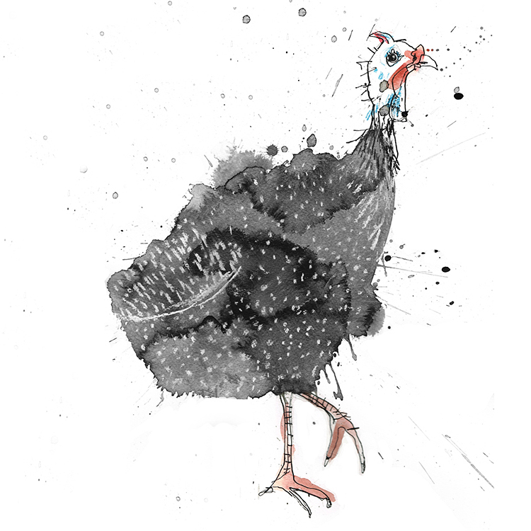 GAMAY. ПРИНЦ-ПОЛУКРОВКА 07/04/17