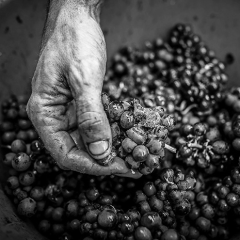 SPÄT? SPÄT. SPÄT!  19/01/17