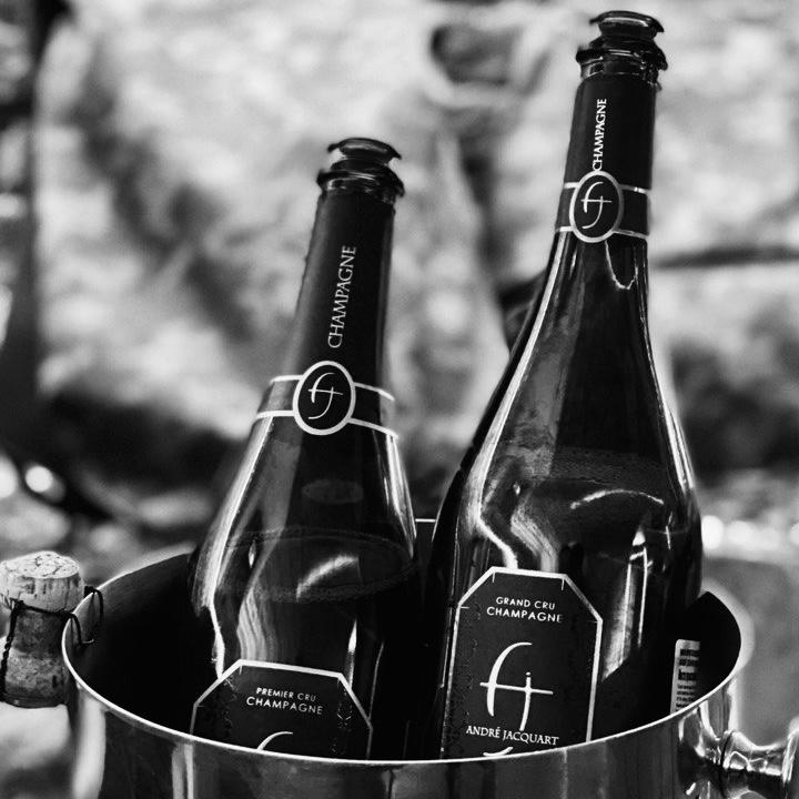 ПОЛИФОНИЯ CHAMPAGNE 30/11/23