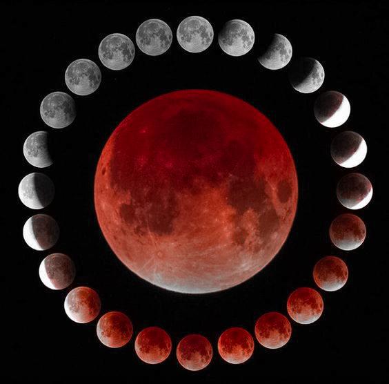 КОСМОС И НЕБЕСНЫЕ ТЕЛА В МИРОВОЙ КУЛЬТУРЕ 03/02/24