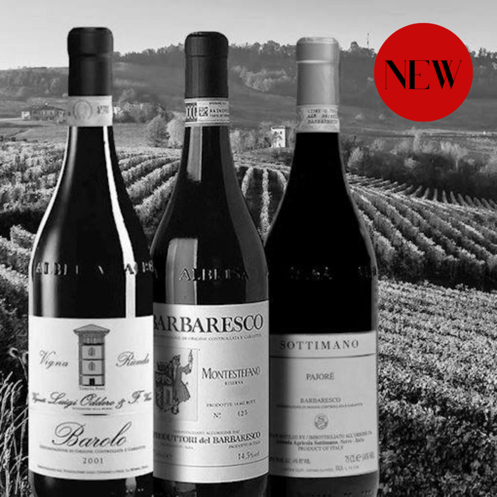 БОЛЬШОЙ ВИННЫЙ СЕМИНАР. ПЬЕМОНТ С СЕВЕРА НА ЮГ 18/02/24