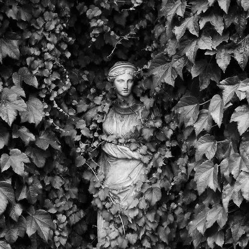 КАРТИНА МИРА. САДЫ, ЦВЕТЫ И ПТИЦЫ. САД И ЕГО СИМВОЛИКА В ИСТОРИИ ИСКУССТВА 19/07/25