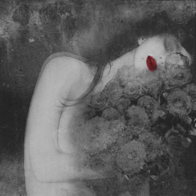 ВЕЧЕР С ВИНАМИ. CHAMPAGNE ROSE 03/04/26