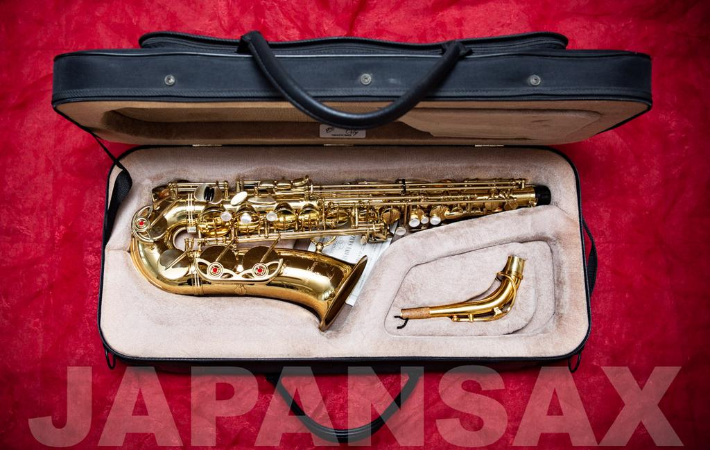 Саксофон альт YANAGISAWA A-900u