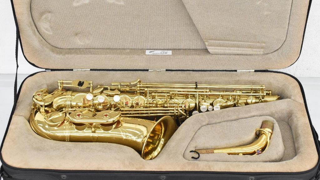 Саксофон альт YANAGISAWA A-900u