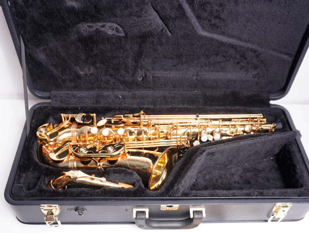 Саксофон альт YANAGISAWA A-901 II