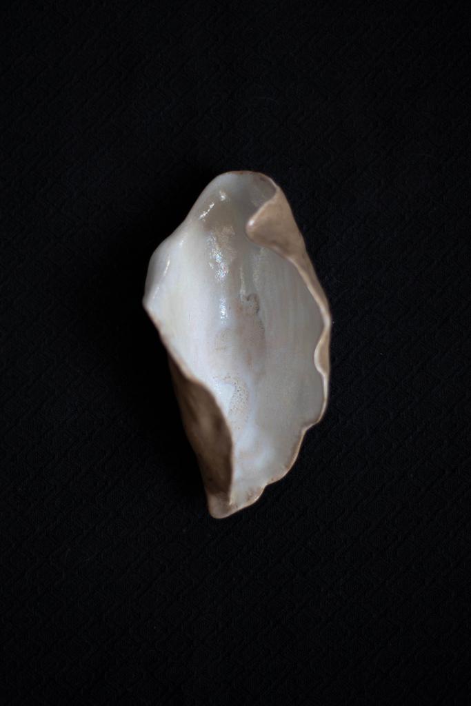 Раковина "Ceramic Shell" / 23