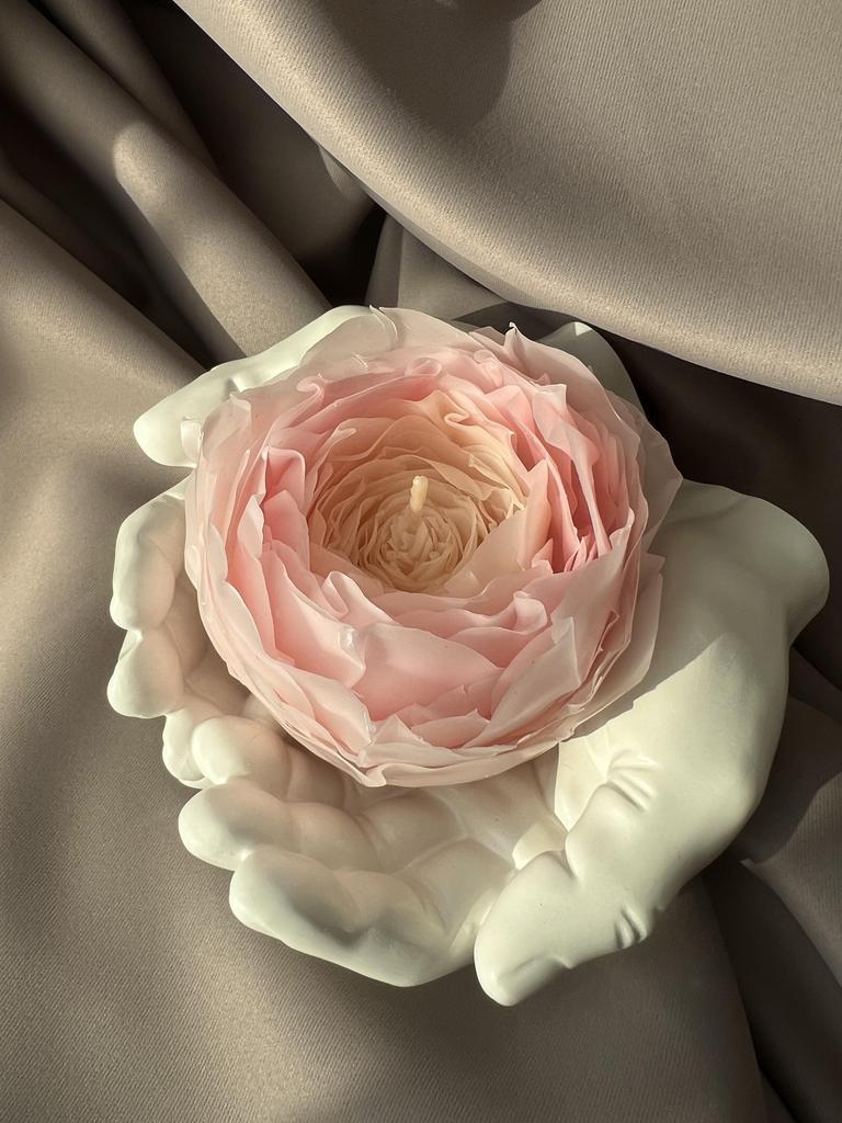 Пион в ладонях