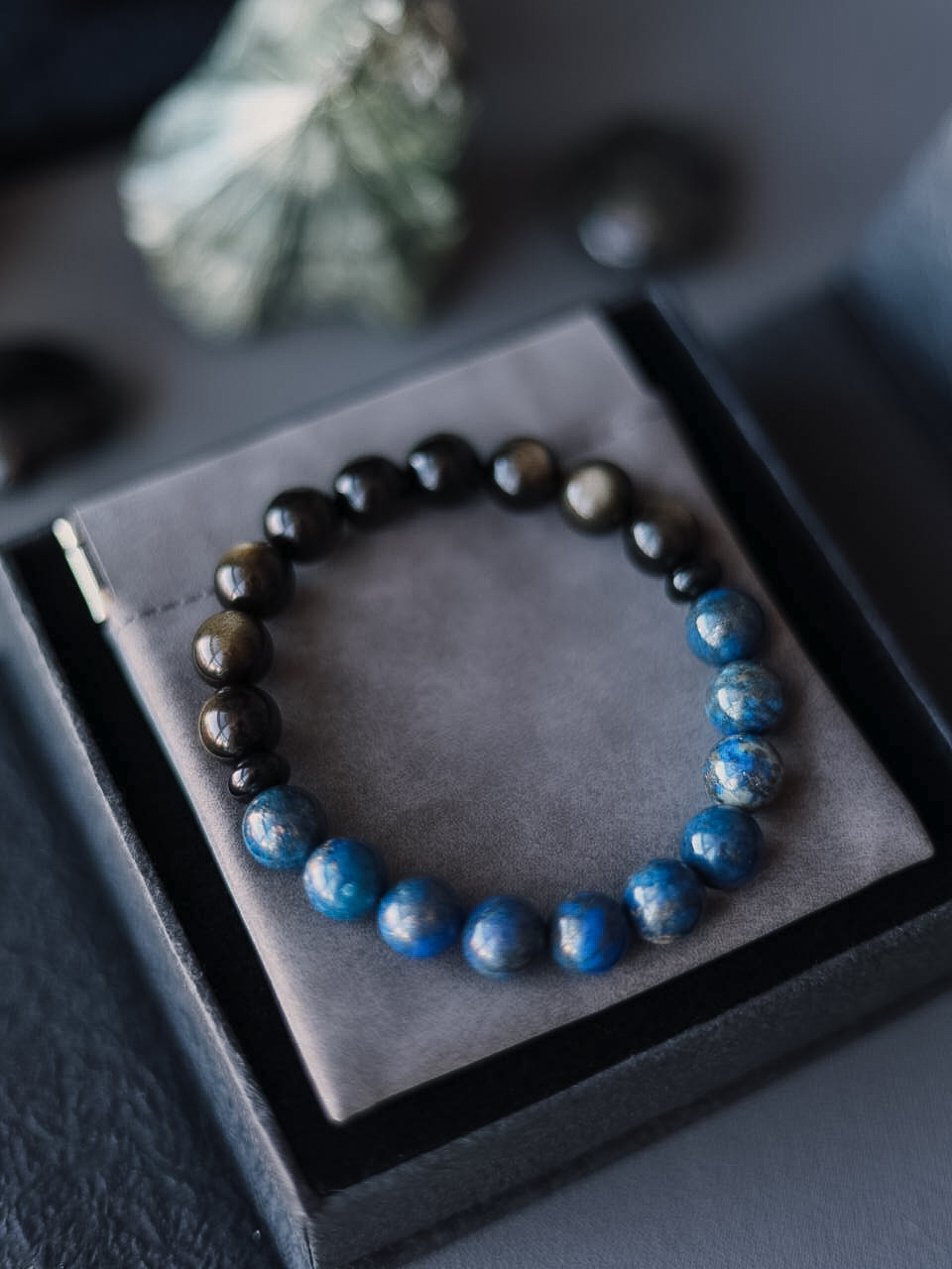 Видящий в Тьме