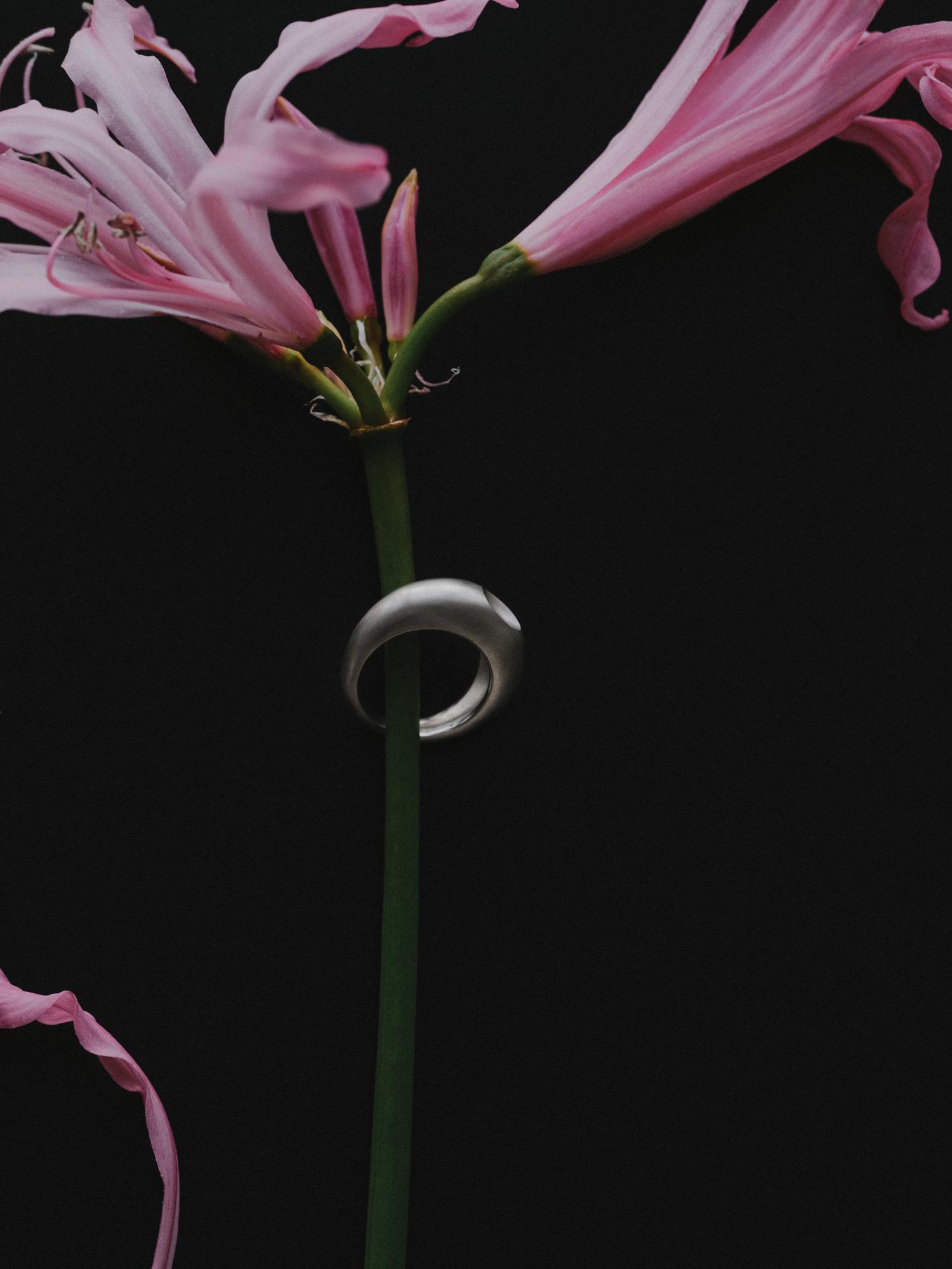 кольцо / «арктика»