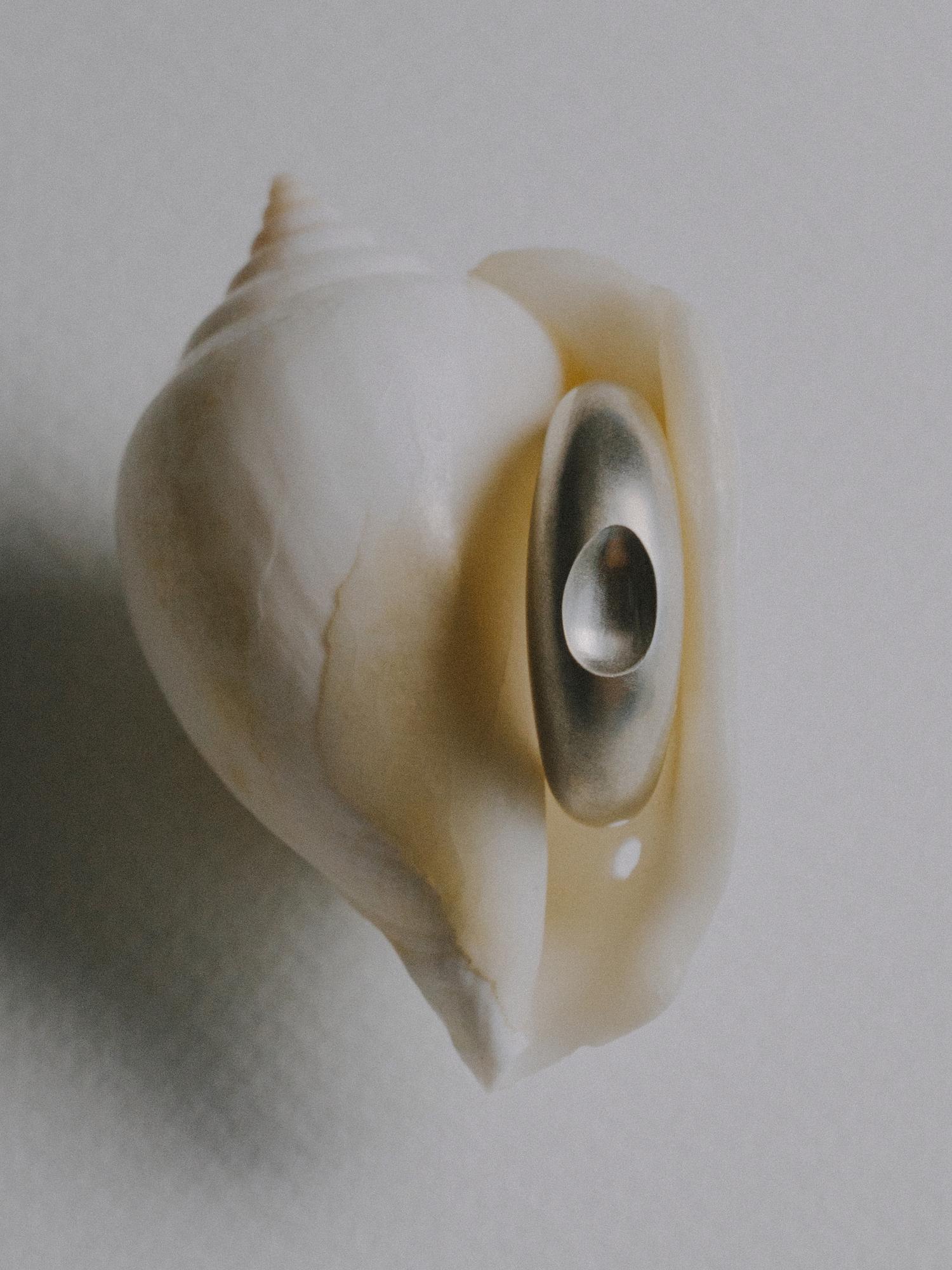 кольцо / «арктика»