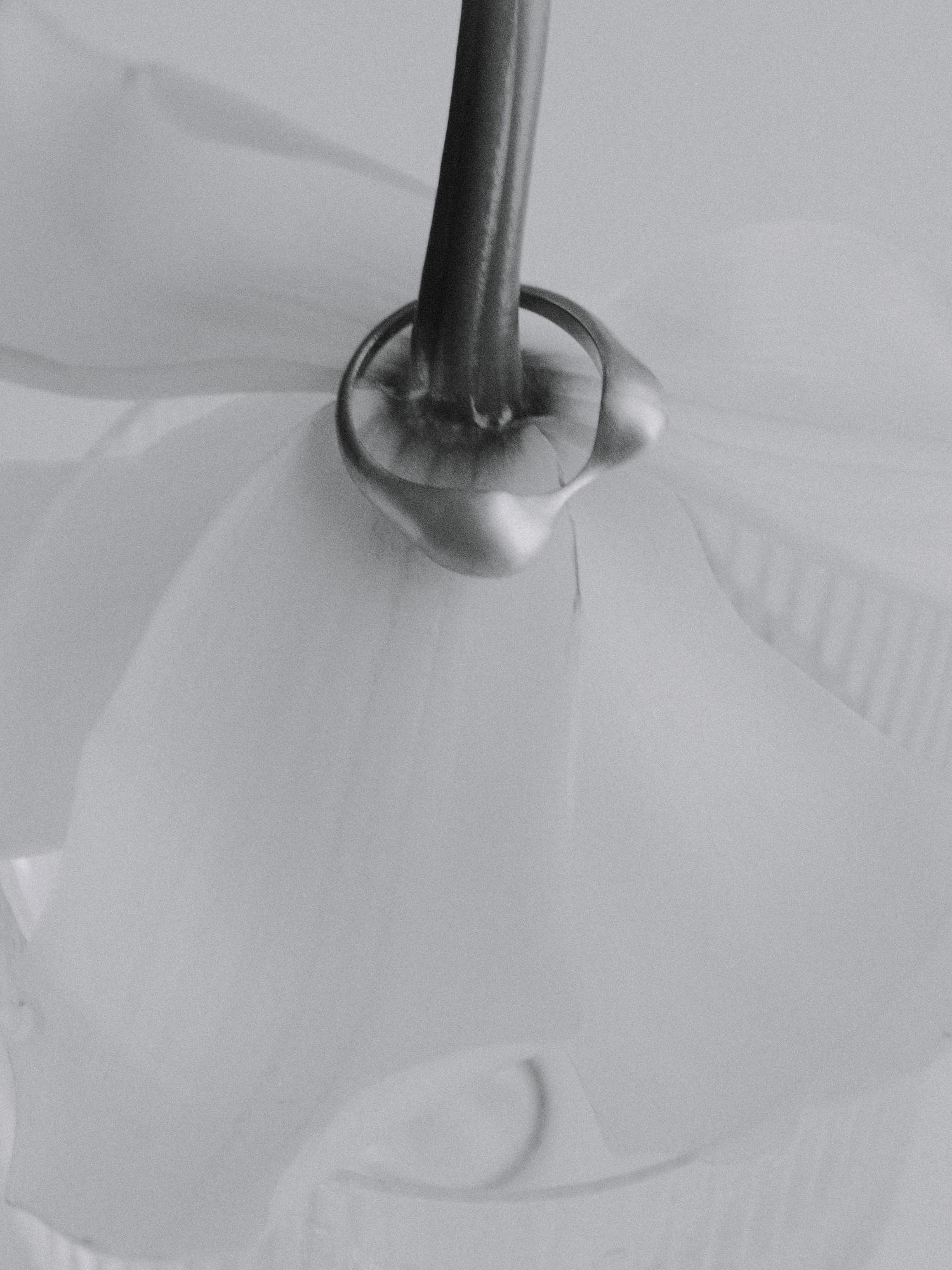 кольцо / «эхо»