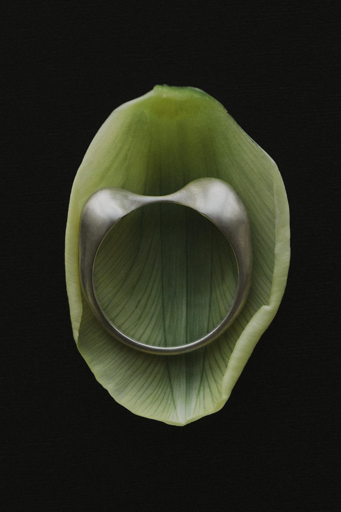 кольцо / «эхо»