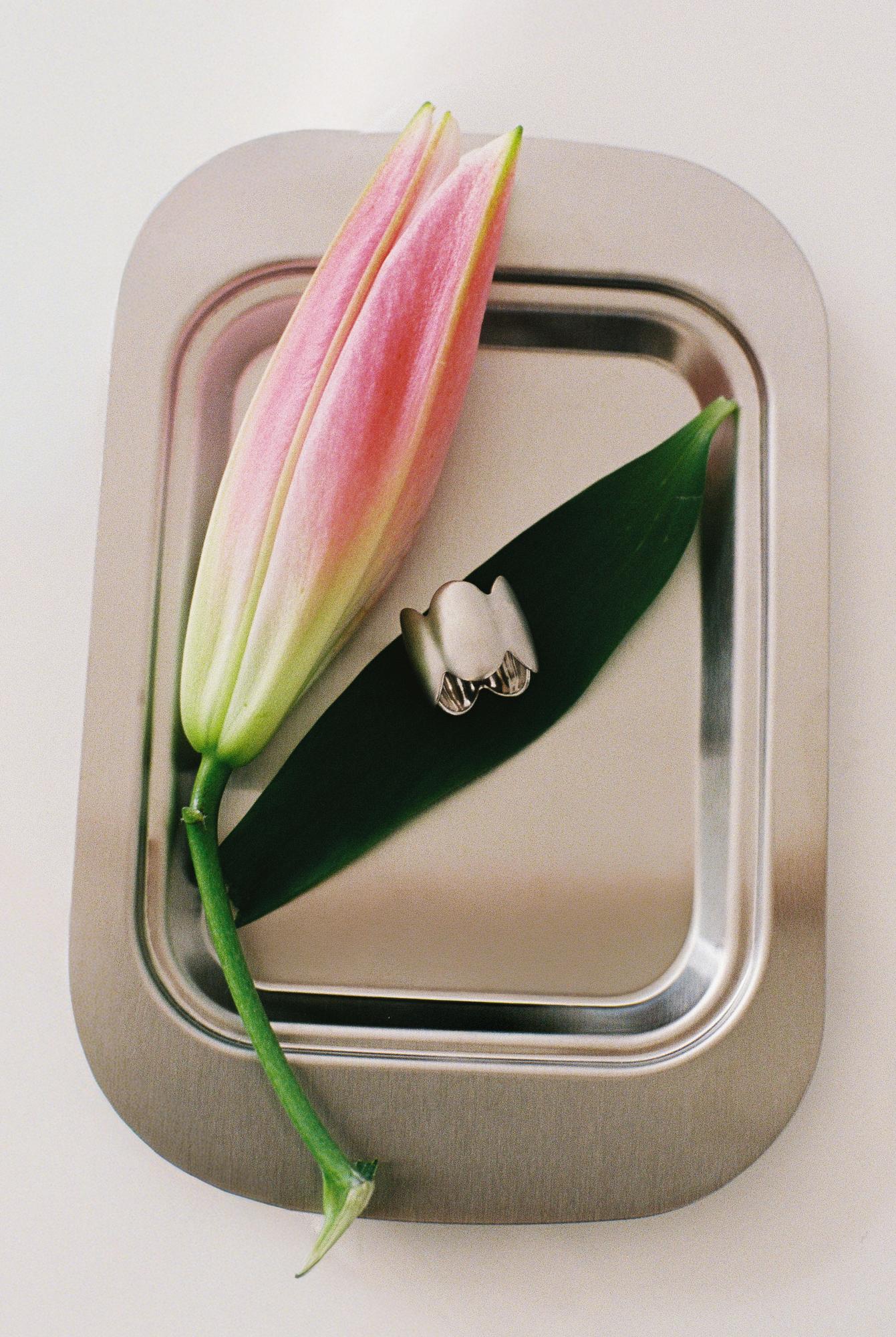 кольцо / «большая медведица»