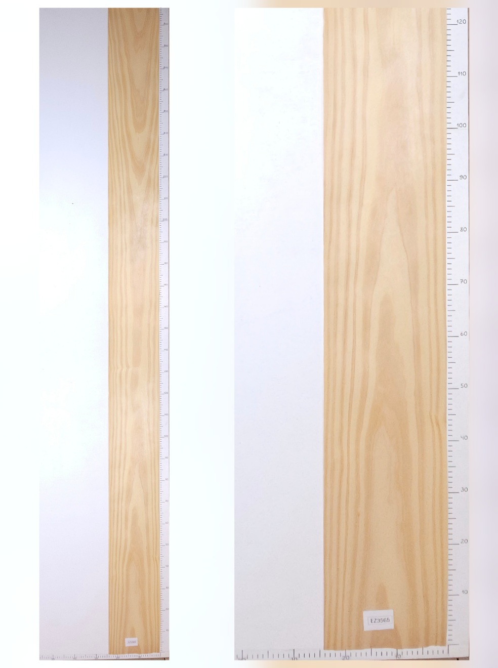 Шпон сосна лист 3,1х0.24 EZ3565