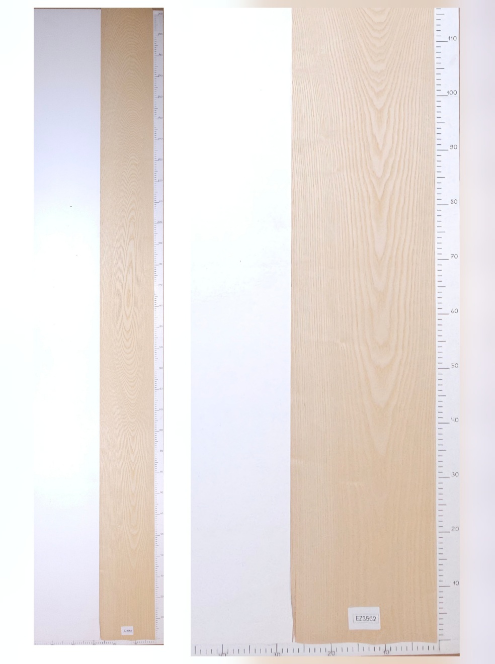 Шпон ясень белый лист 3.1х0.26 EZ3562