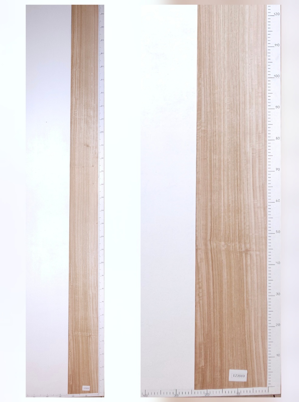 Шпон эвкалипт лист 3х0.22 EZ3560