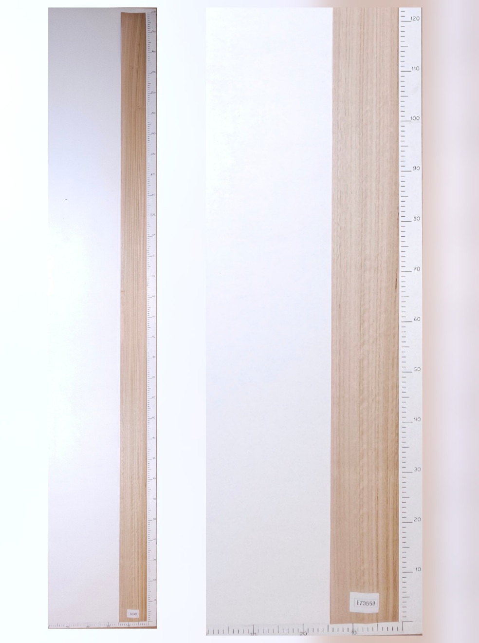 Шпон эвкалипт лист 3х0.13 EZ3558