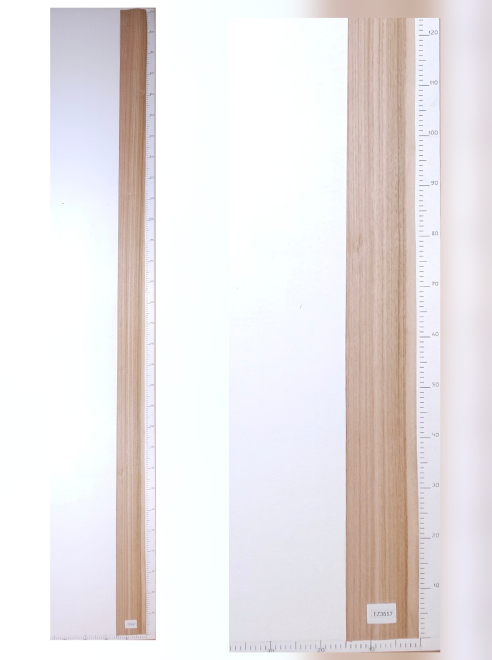 Шпон эвкалипт лист 3х0.13 EZ3557