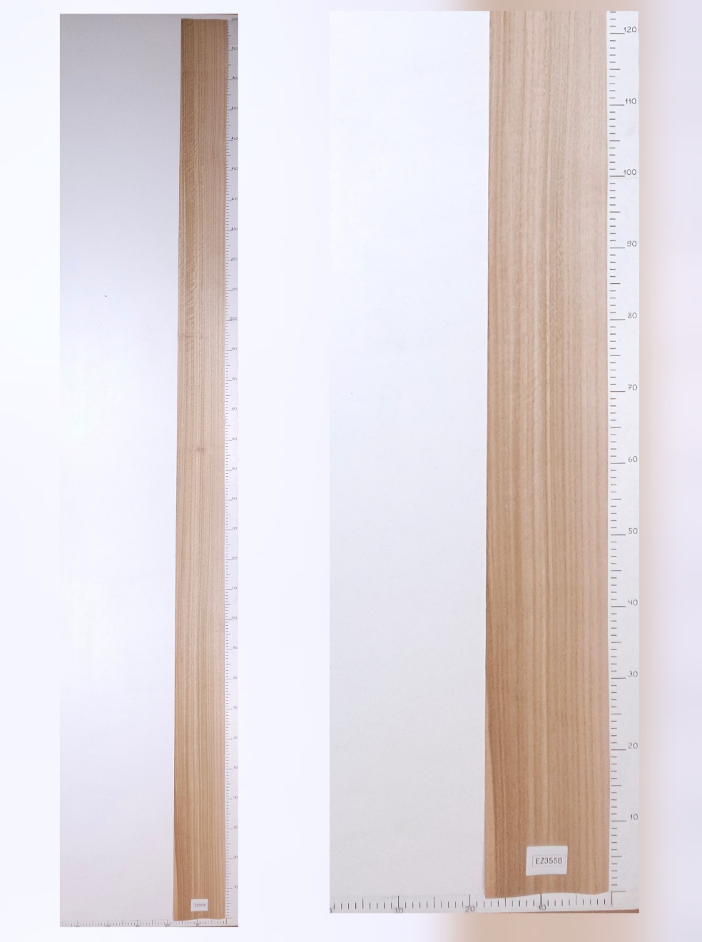 Шпон эвкалипт лист 3х0.16 EZ3556