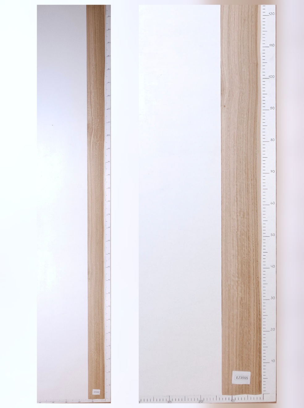 Шпон эвкалипт лист 3х0.13 EZ3555