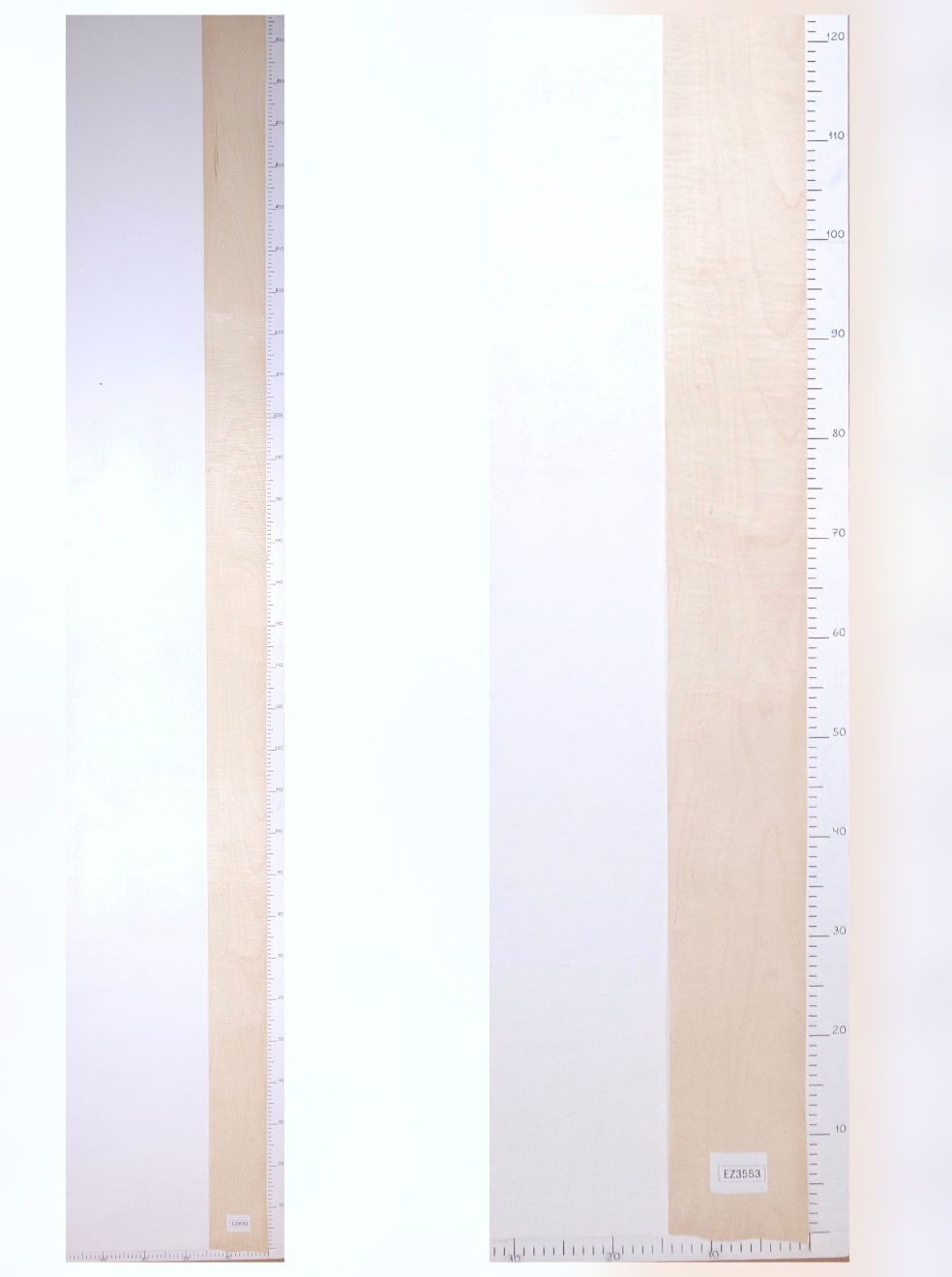 Шпон клён лист 3.1х0.14 EZ3553