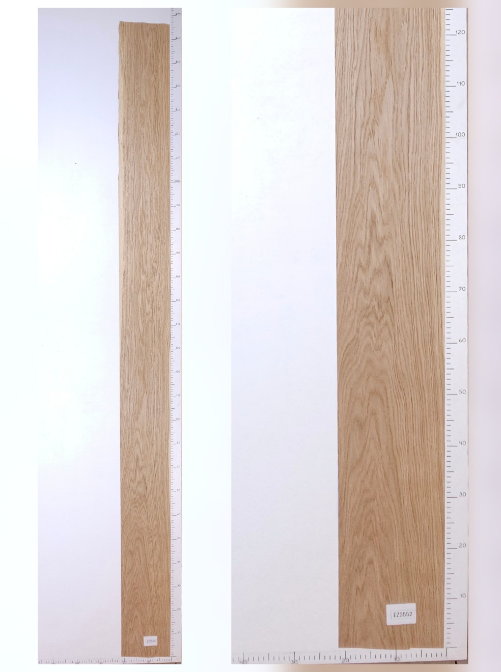 Шпон дуб тангенс лист 2,65х0.22 EZ3552