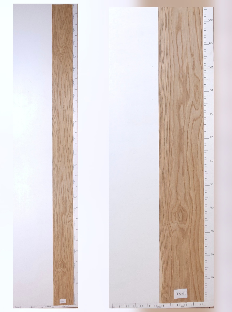 Шпон дуб тангенс лист 2,8х0.2 EZ3551