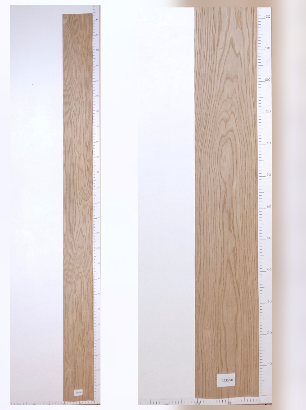 Шпон дуб тангенс лист 2,55х0.2 EZ3550