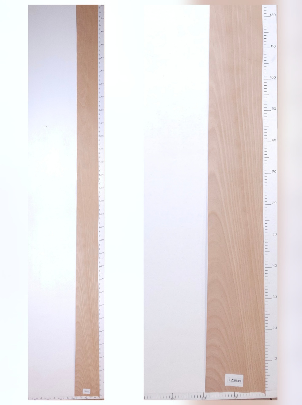 Шпон бук лист 3.2х0.18 EZ3549