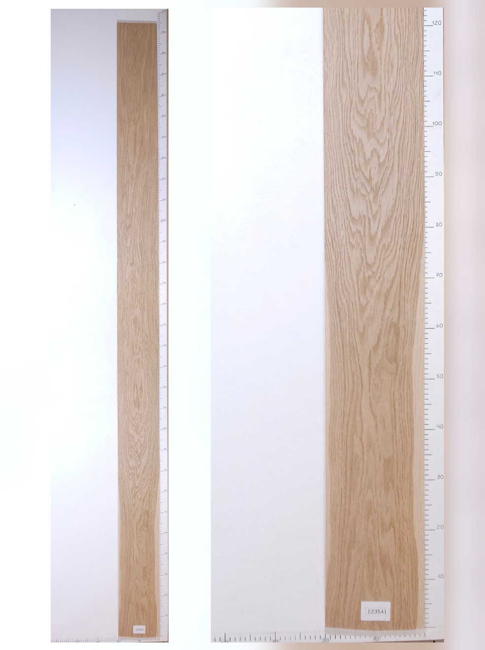 Шпон дуб тангенс лист 3х0.2 EZ3541