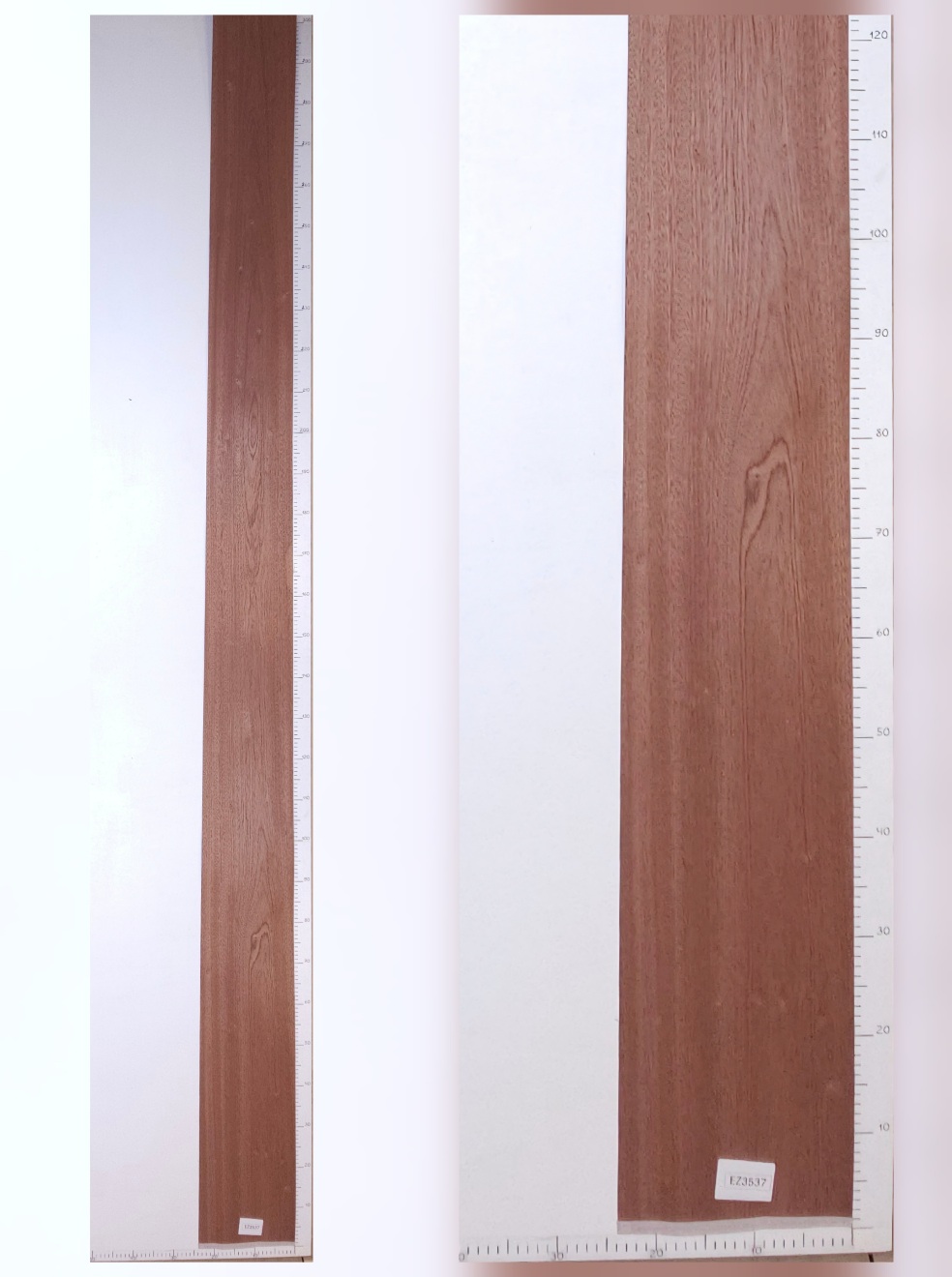 Шпон сапеле тангенс лист 3,5х0.21 EZ3537