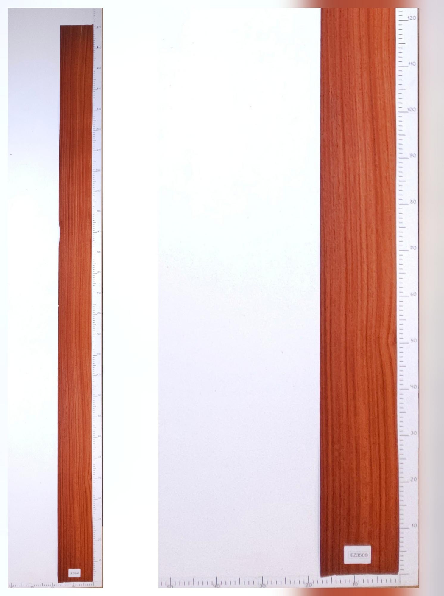 Шпон падук лист 2.7х0.16 EZ3509