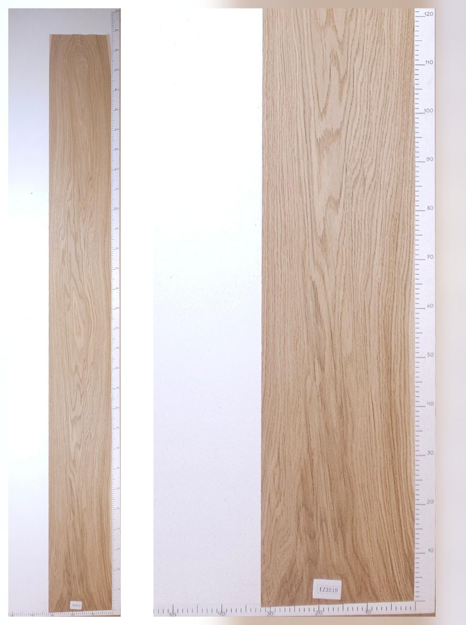 Шпон дуб тангенс лист 2,9х0.32 EZ3519