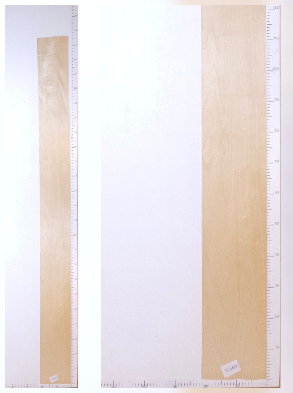 Шпон берёза лист 2.35х0.22 EZ3492