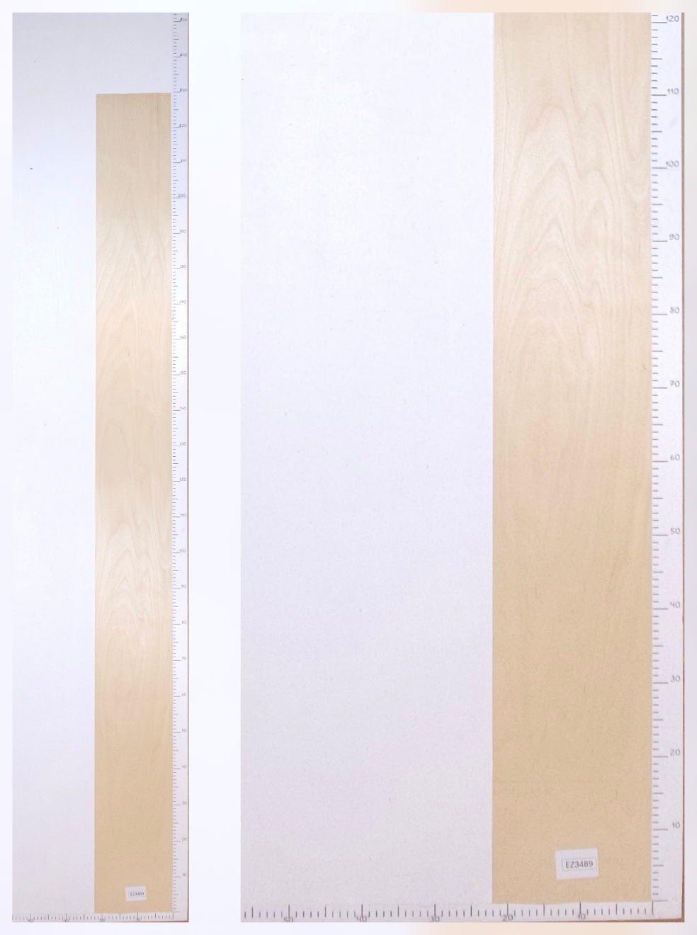 Шпон берёза лист 2.25х0.22 EZ3489