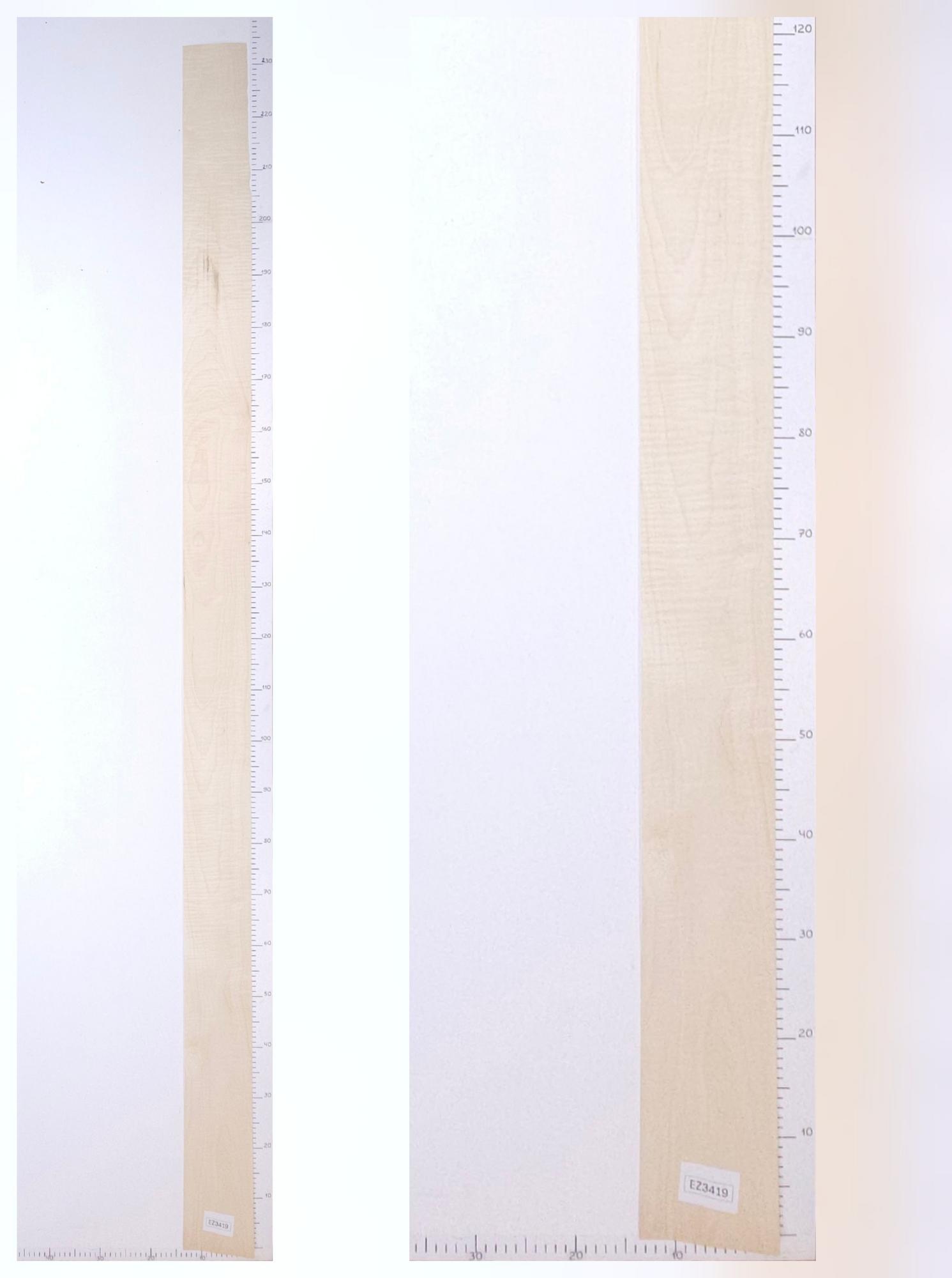 Шпон клён лист 2.3х0.13 EZ3419