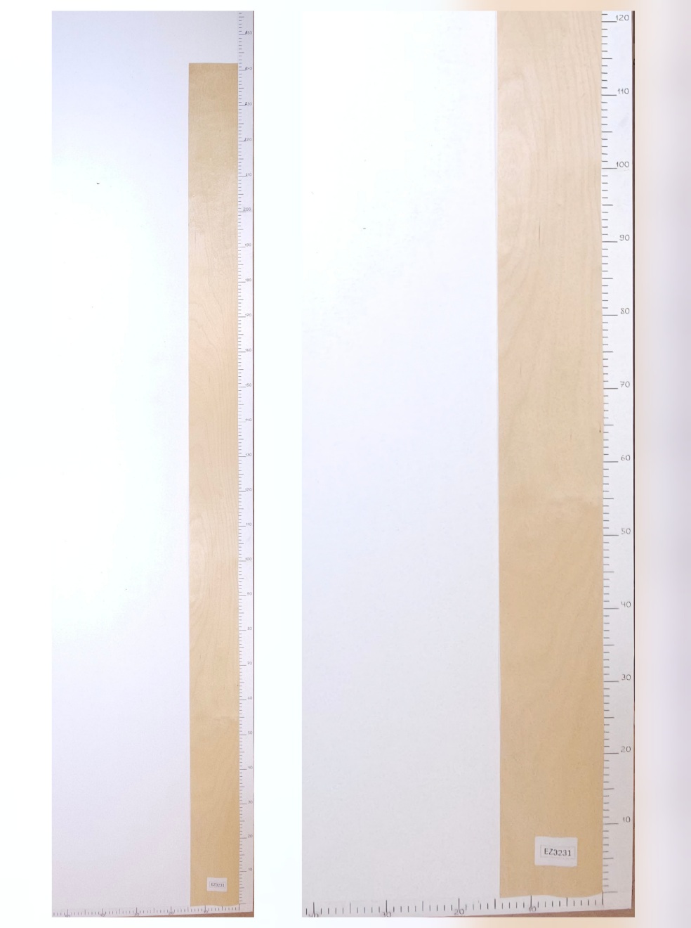 Шпон берёза лист 2.4х0.14 EZ3231