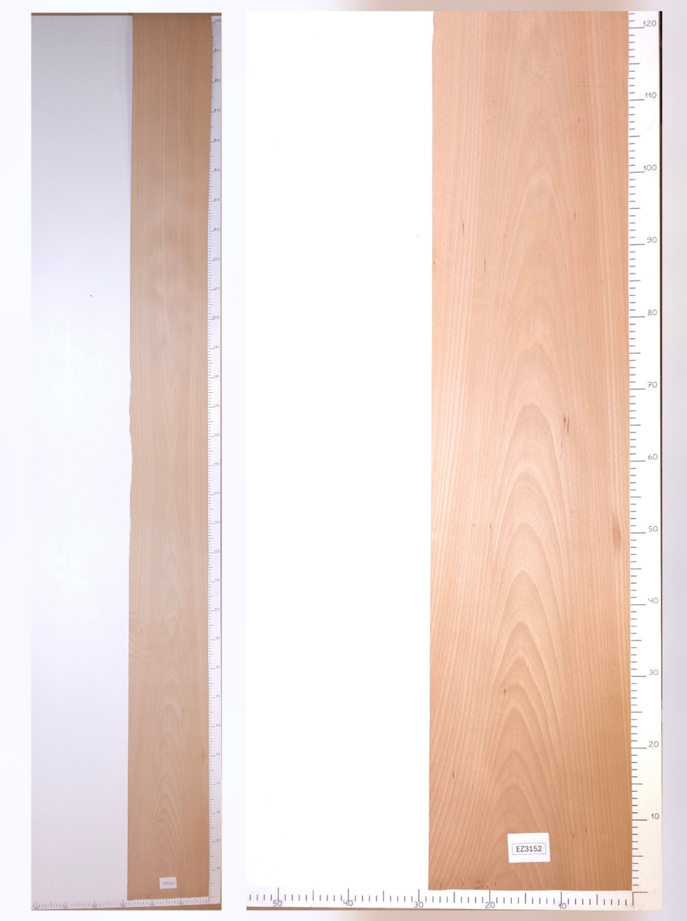 Шпон бук лист 3.6х0.27 EZ3152