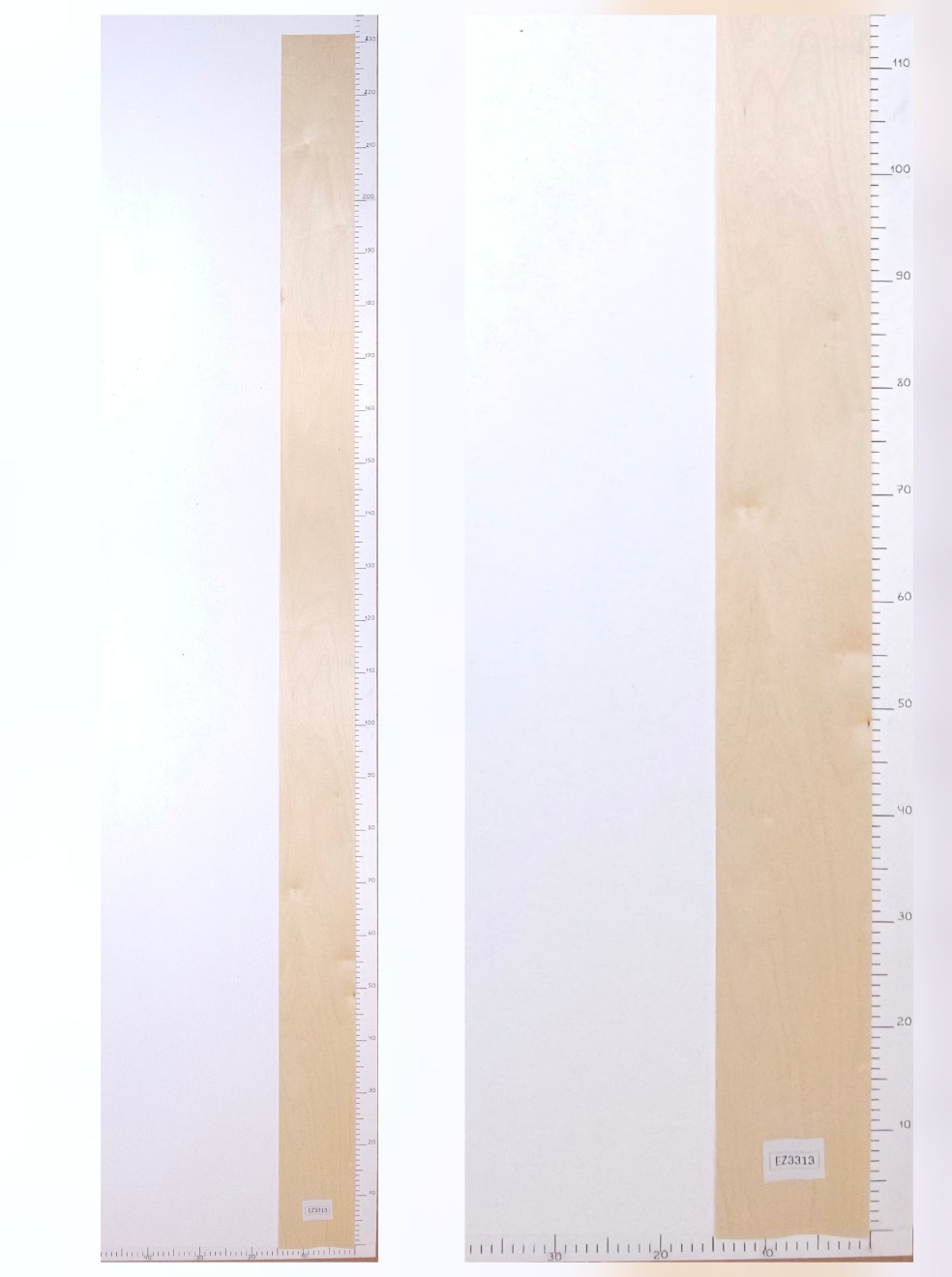 Шпон берёза лист 2.3х0.14 EZ3313