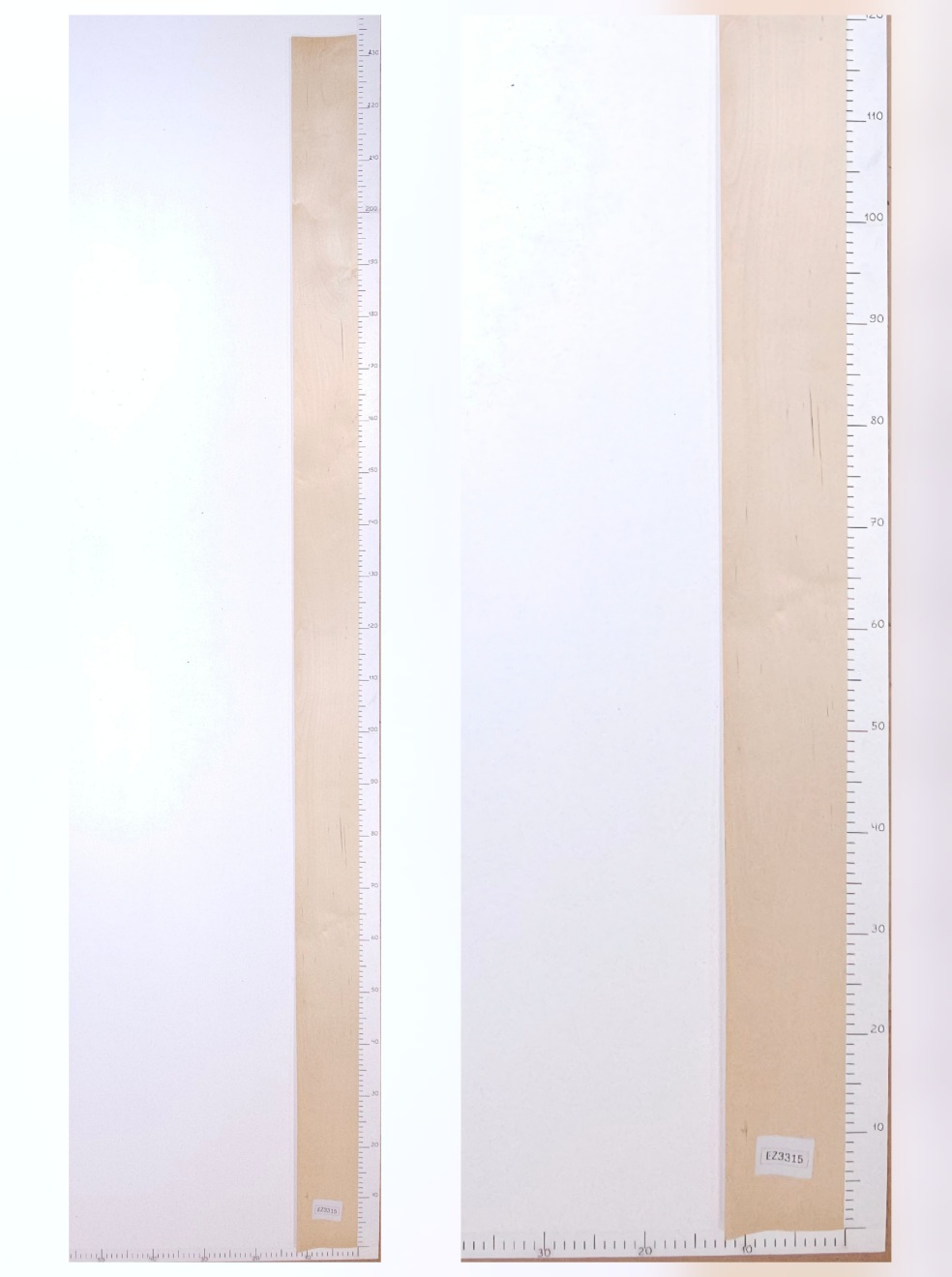 Шпон берёза лист 2.3х0.13 EZ3315