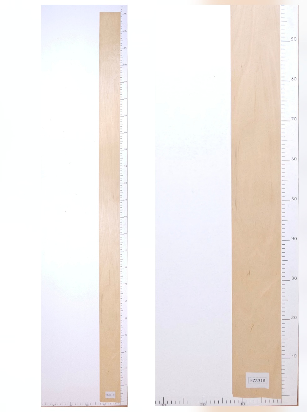 Шпон берёза лист 2.3х0.13 EZ3319