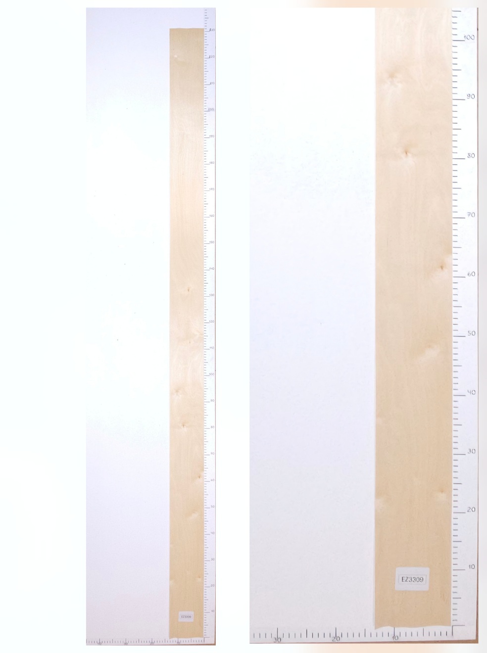 Шпон берёза лист 2.3х0.13 EZ3309