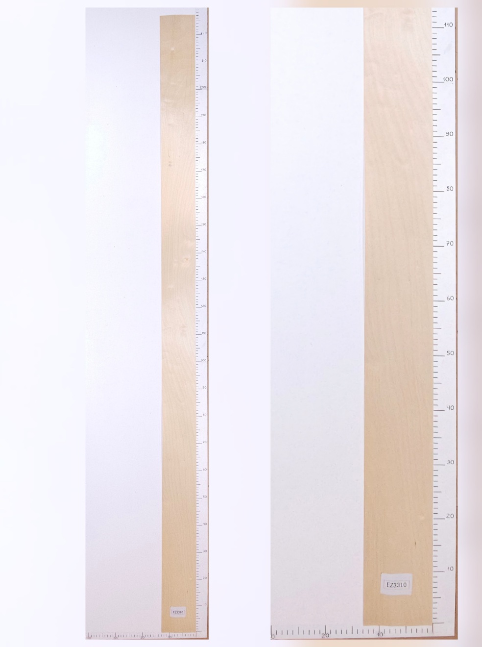 Шпон берёза лист 2.25х0.13 EZ3310