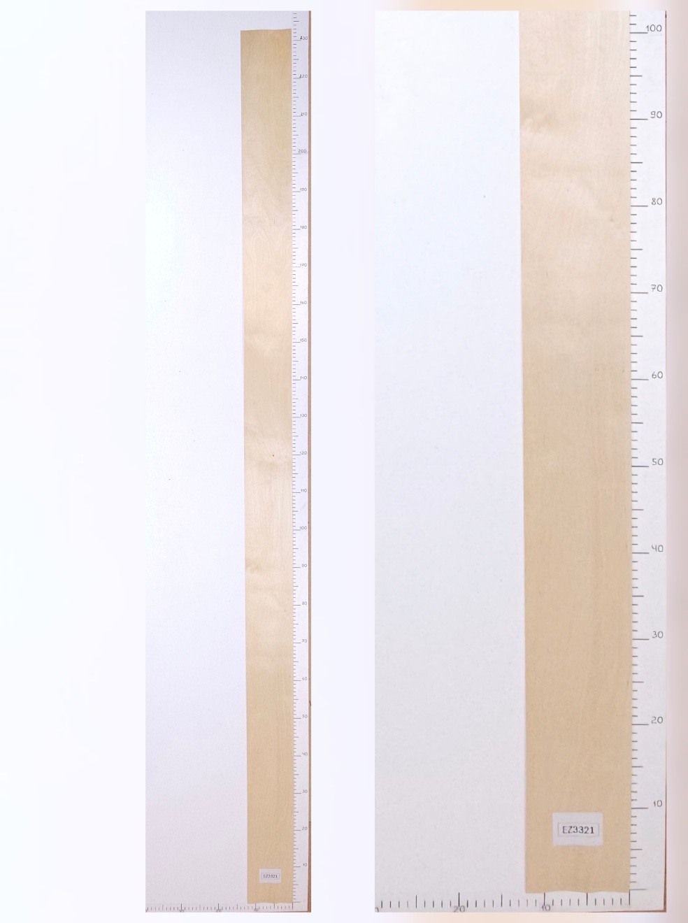 Шпон берёза лист 2.3х0.13 EZ3321