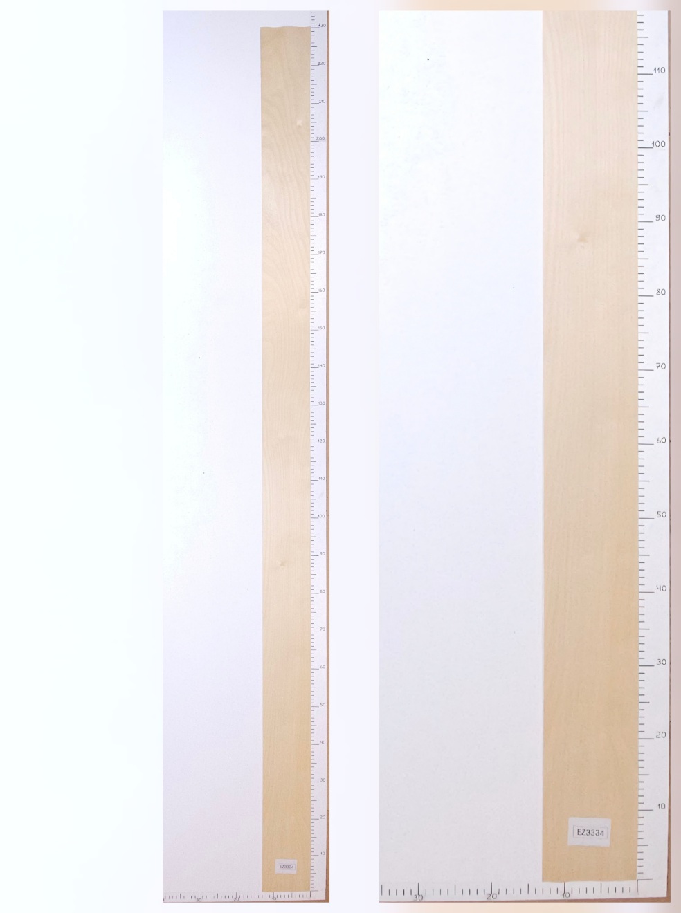 Шпон берёза лист 2.3х0.13 EZ3334