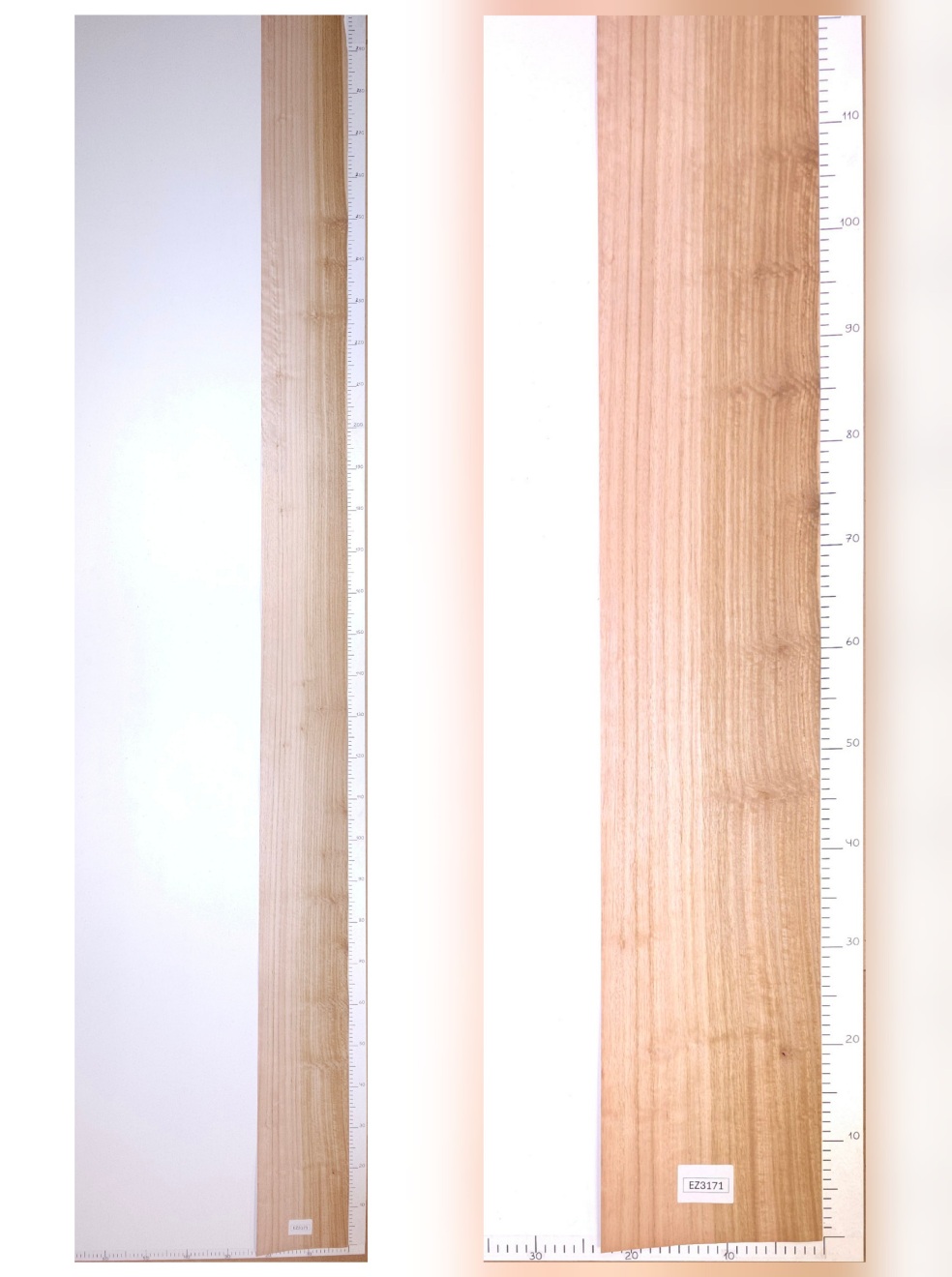 Шпон эвкалипт лист 3х0.21 EZ3171