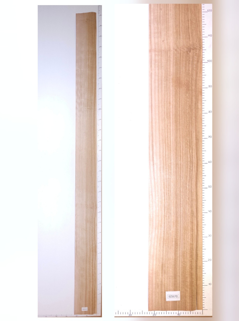 Шпон эвкалипт лист 2,9х0.21 EZ3172