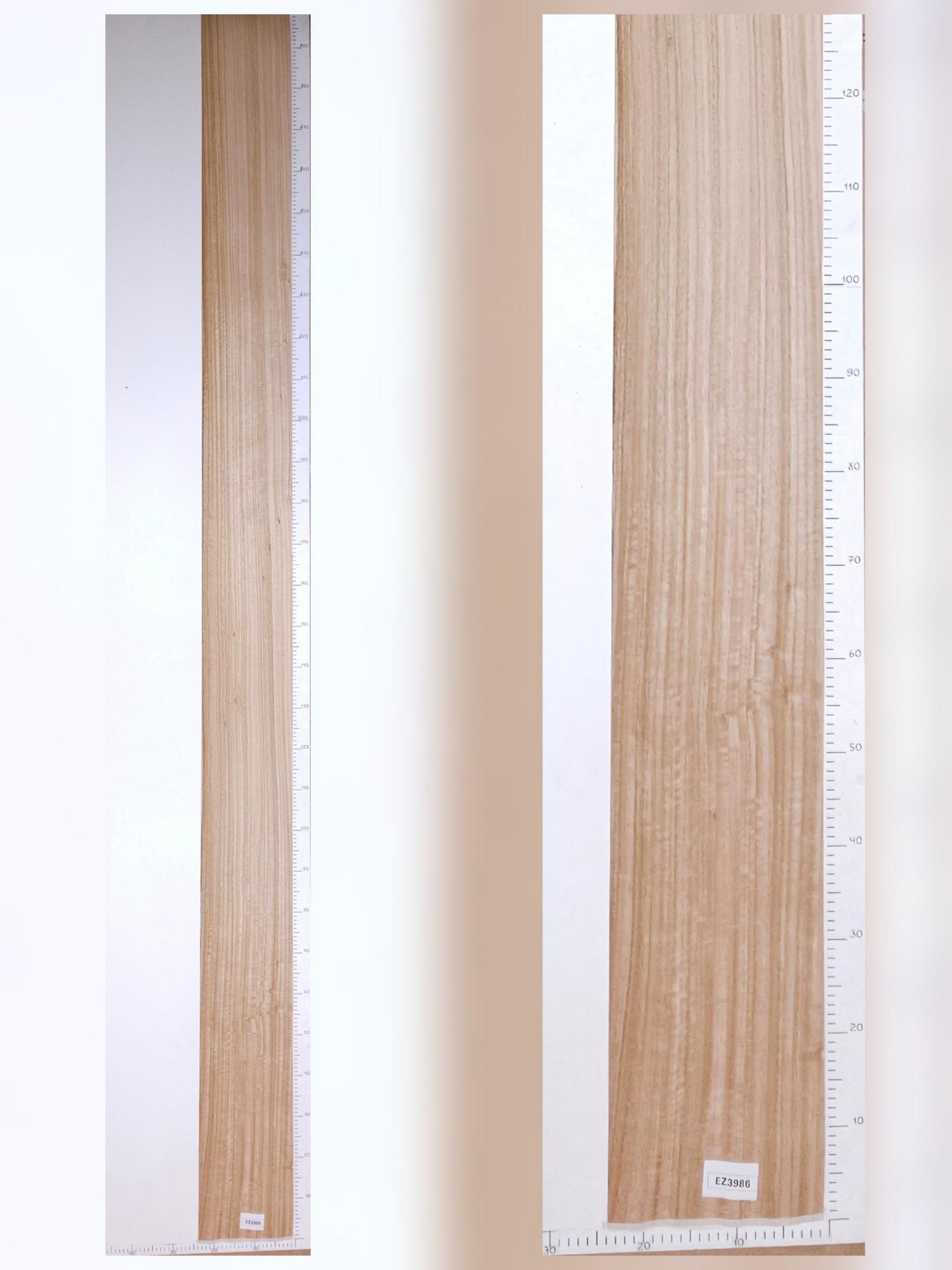 Шпон Эвкалипт лист 3х0,22м EZ3986